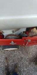 EG384 (14)