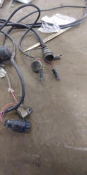 EG384 (20)