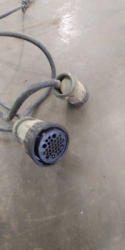 EG384 (21)