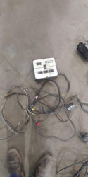 EG384 (30)