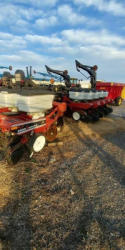 EG384 (4)