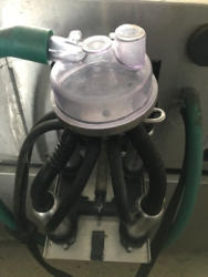PD598 (18)