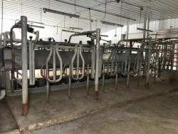 PD598 (4)