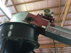 PZ8183-13