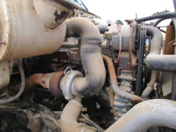 Gillett AR (27)
