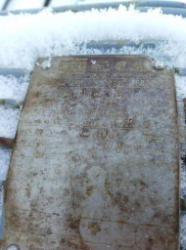 NJP1123 (4)