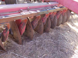 KMK2051 (11)