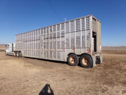 KMK2060 (8)