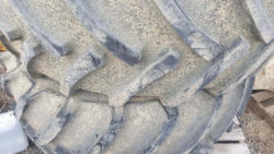 ED491 (4)