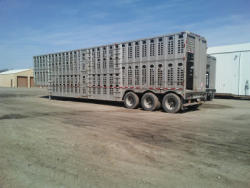 KMK2091 (4)