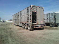 KMK2091 (5)