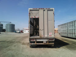 KMK2091 (6)