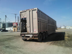 KMK2091 (7)