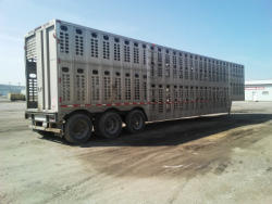 KMK2091 (8)