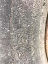 MH267 (6)