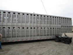 TR4201 (6)