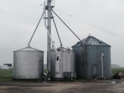 KMK559 (2)