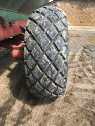 ED590 (23)