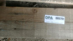 DR9791 (3)