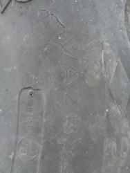 DSC09531