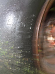 DSC00955