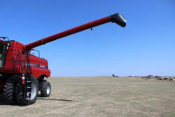 PD927 (27)