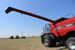PD927 (28)