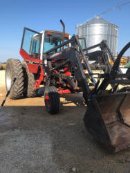 auction-item