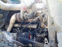 AL530 (23)