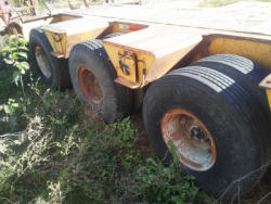 PD984 (19)