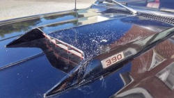 36751483_2055222674549098_6587953492411809792_n