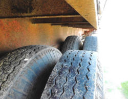 ED961 (22)