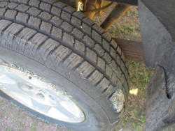 ED991 NEW (17)
