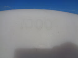 DSC03203