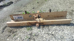 auction-item