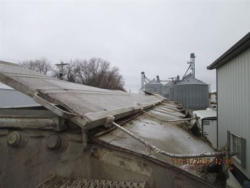 TR9931 (16)