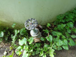 DSC01486
