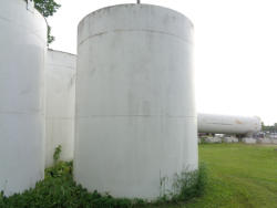 DSC01493