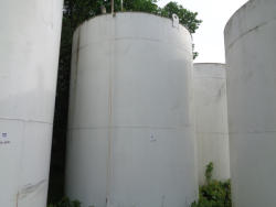 DSC01499