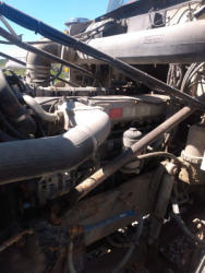 ED1550-10