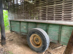 auction-item