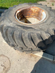 ED1585-04