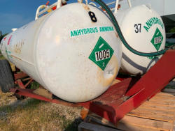PZ5187-02