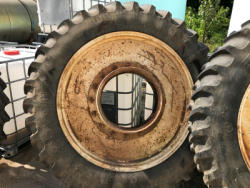 ED1572-06