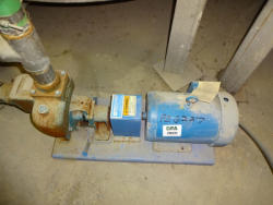 auction-item