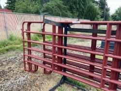 auction-item