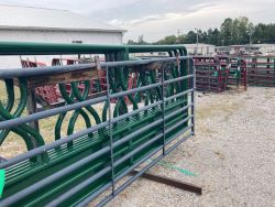 auction-item