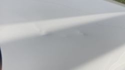 1486382
