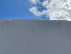 1499562