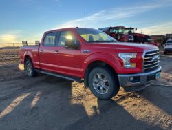 auction-item